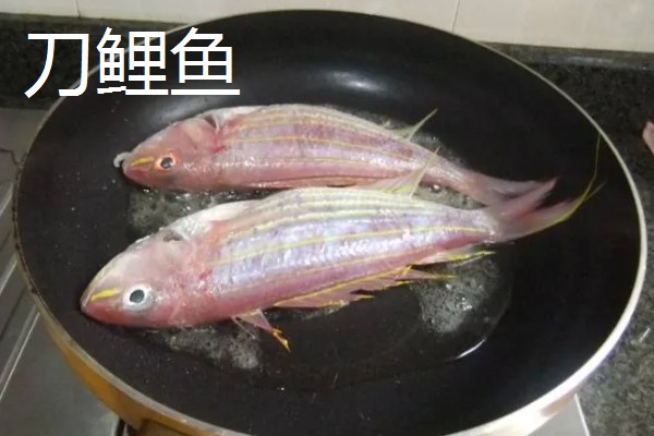 刀鲤鱼和红三鱼有什么区别，外形、味道、价格等方面不同