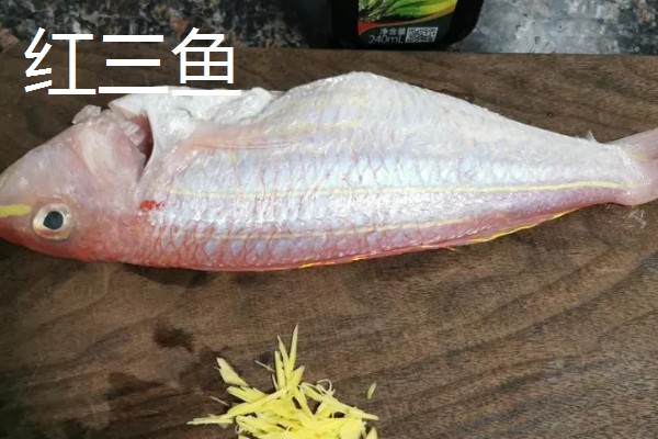 刀鲤鱼和红三鱼有什么区别，外形、味道、价格等方面不同
