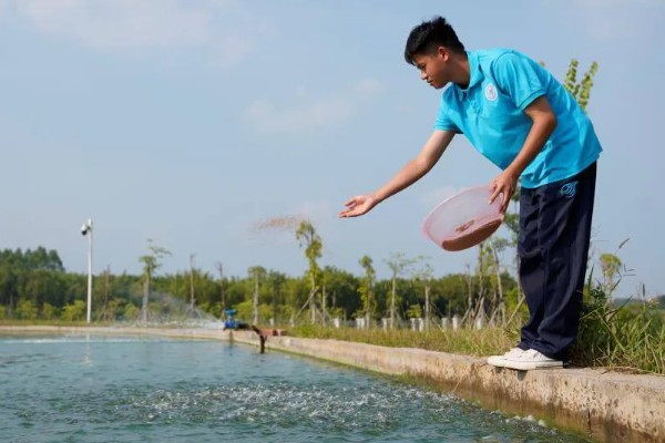 小龙虾烂尾病用哪种药，用二氧化氯消毒剂化水全池洒泼
