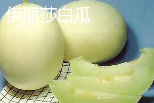 甜瓜有什么品种,伊丽莎白瓜、羊角蜜等品种很常见