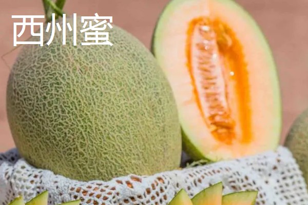 甜瓜有什么品种,伊丽莎白瓜、羊角蜜等品种很常见