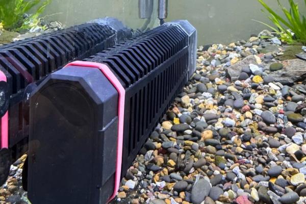 红龙鱼几个月没吃食的原因及处理方法，可能是水质改变所致