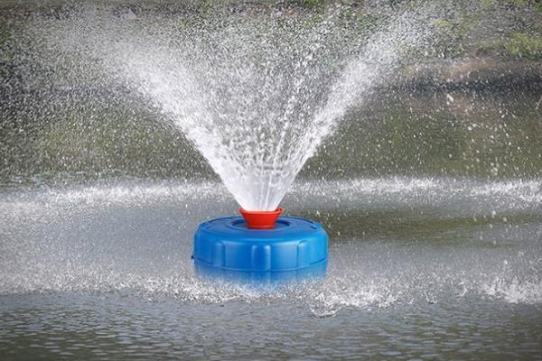 罗氏虾怎么养殖，放养前要培肥水质