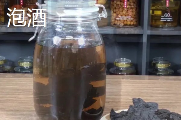 肉苁蓉如何食用，用它泡水或者是泡酒来食用