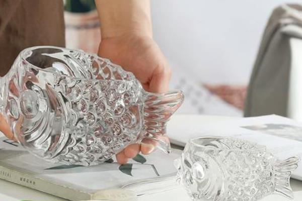 如何水培郁金香种球，在每年十月份左右进行