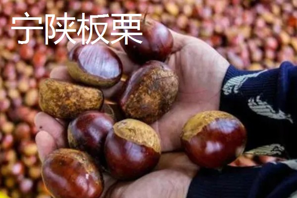 陕西安康的特产,有宁陕板栗、旬阳狮头柑等