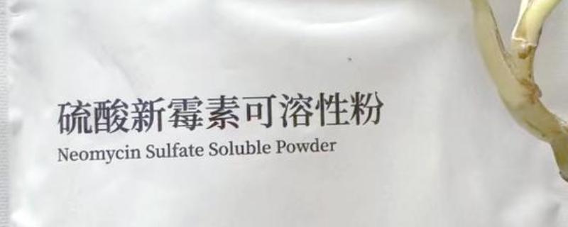 硫酸新霉素主要治疗什么，能有效治疗胃肠道感染