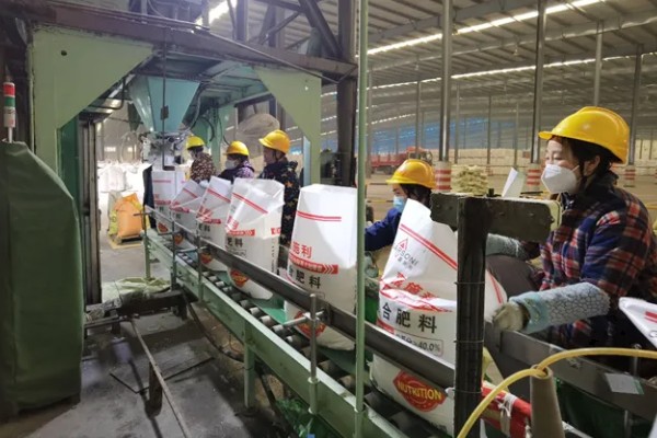 鲁西化肥公司的简介，可年产330万吨化肥