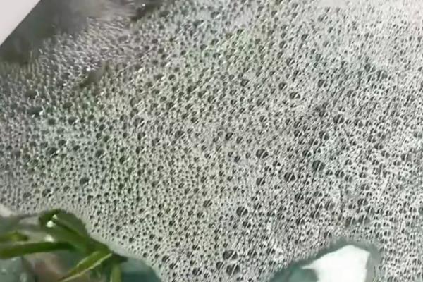 鱼缸起泡沫的原因，过量喂食、杂质过多等因素都会引起