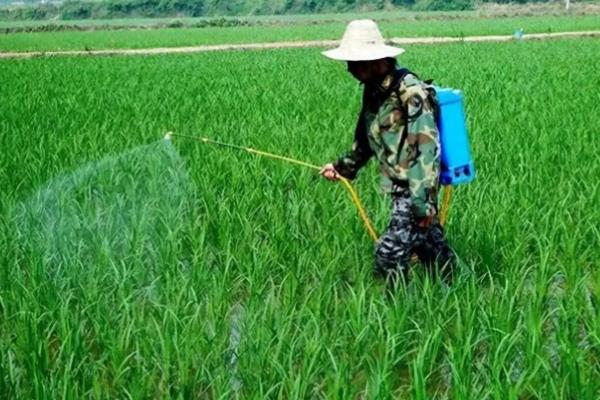 使用农药的误区，主要有以下5个误区
