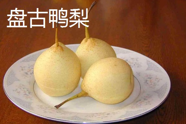河北省青县的特产，青县冬菜远销海外