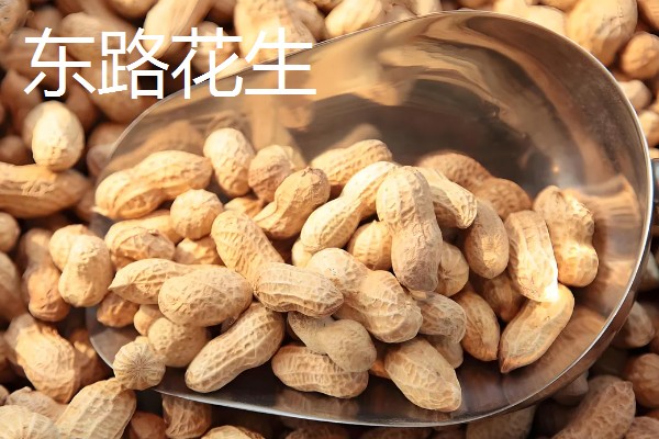 河北省青县的特产，青县冬菜远销海外