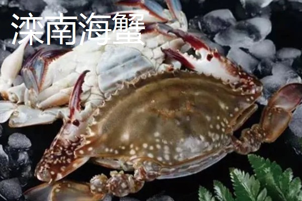 河北省青县的特产，青县冬菜远销海外