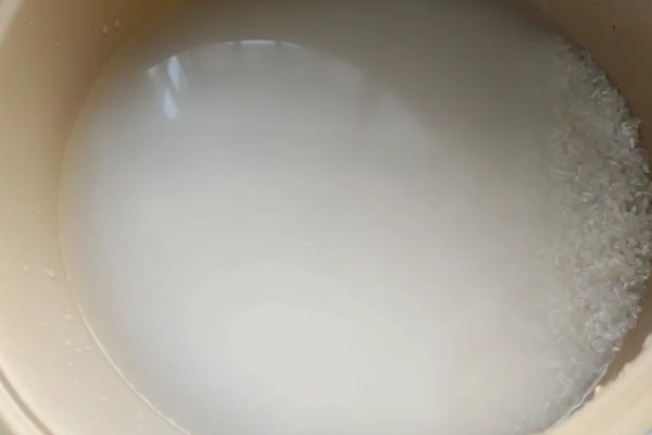 淘米水如何浇菜,先进行发酵处理
