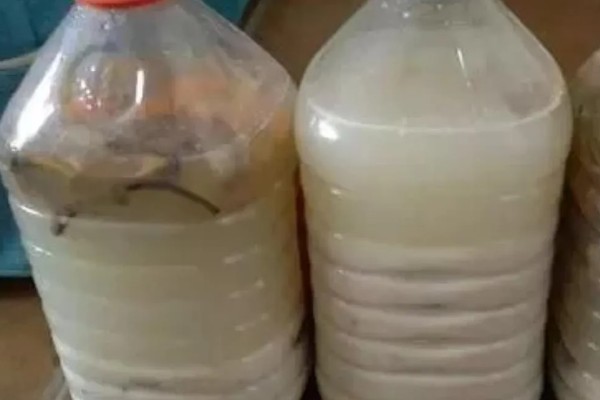 淘米水如何浇菜,先进行发酵处理