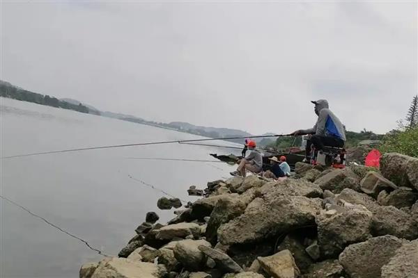 银影鲤的简介,属于光威旗下的经典鱼竿