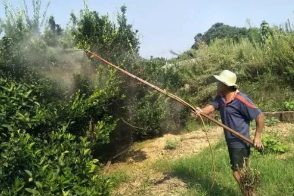 丁硫克百威与克百威的区别,丁硫克百威相对于克百威具有更强的抗雨水冲刷的能力