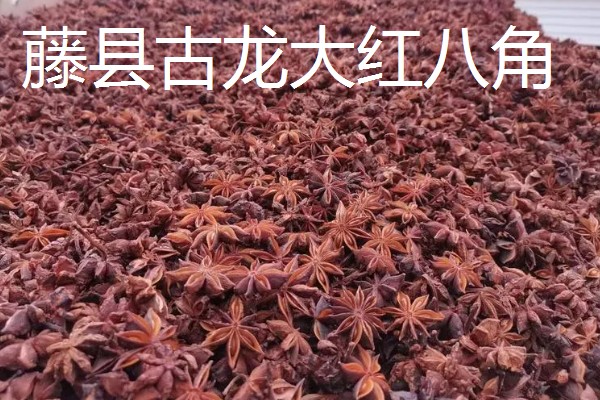 广西藤县的特产，藤县江口荔爽脆清甜