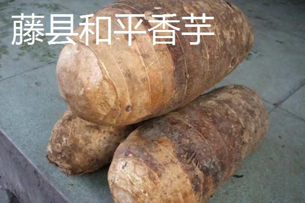 广西藤县的特产，藤县江口荔爽脆清甜