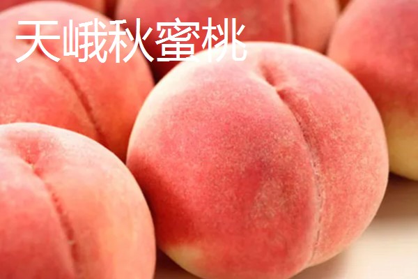 广西藤县的特产，藤县江口荔爽脆清甜