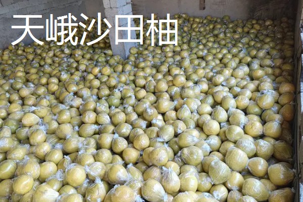 广西藤县的特产，藤县江口荔爽脆清甜