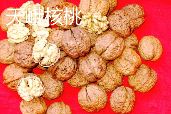 广西藤县的特产，藤县江口荔爽脆清甜