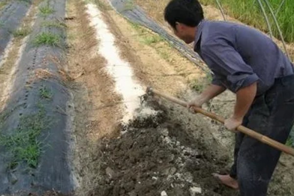 酸性土壤怎么制作，将硫酸亚铁粉末和清水按比例混合