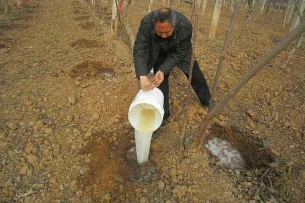 酸性土壤怎么制作，将硫酸亚铁粉末和清水按比例混合
