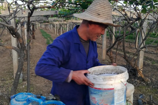 酸性土壤怎么制作，将硫酸亚铁粉末和清水按比例混合