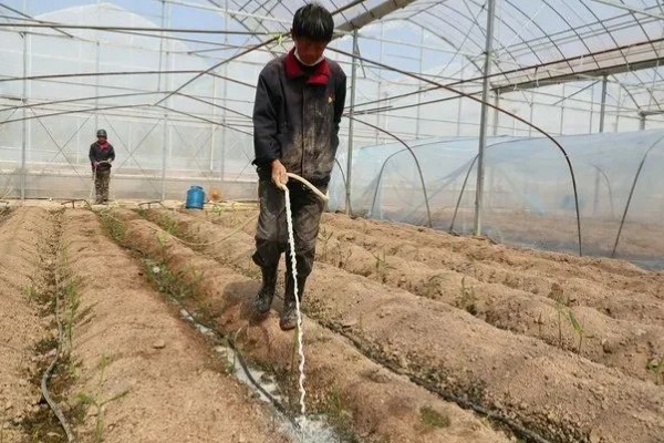 酸性土壤怎么制作，将硫酸亚铁粉末和清水按比例混合