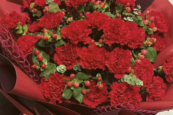 寓意关爱呵护的花，有康乃馨、百合花等