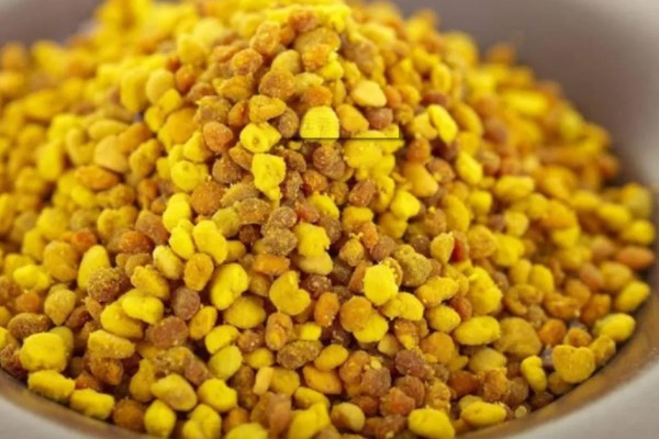 蜂花粉的由来，工蜂采集花粉带回蜂巢
