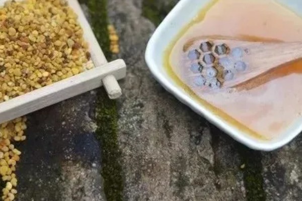 蜂花粉的由来，工蜂采集花粉带回蜂巢