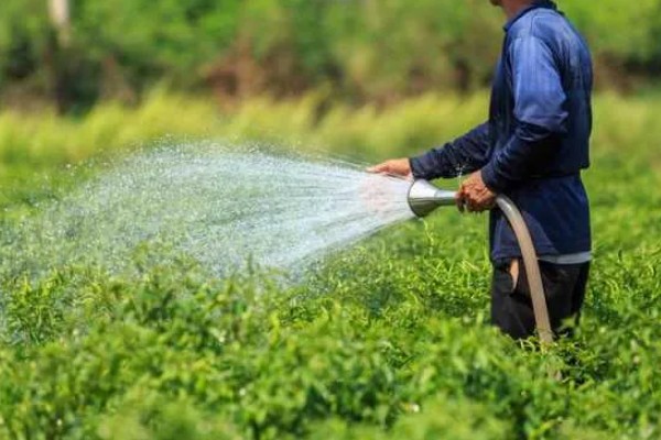 水溶性肥料是什么,指可以完全溶解在水里的肥料