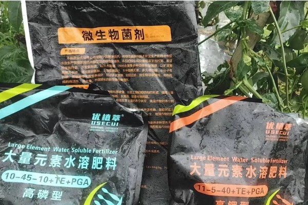 水溶性肥料是什么,指可以完全溶解在水里的肥料