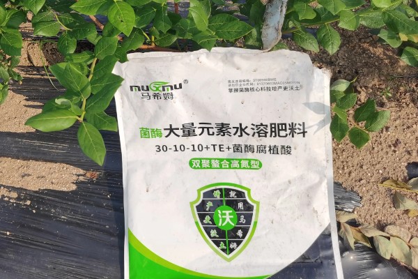 水溶性肥料是什么,指可以完全溶解在水里的肥料