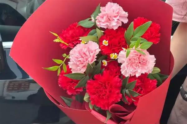 康乃馨的花语，不同颜色代表的含义有区别