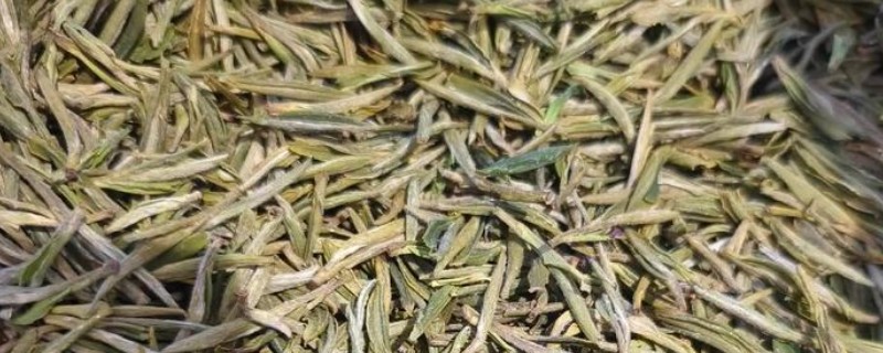 黄山毛峰是哪种茶，属于绿茶