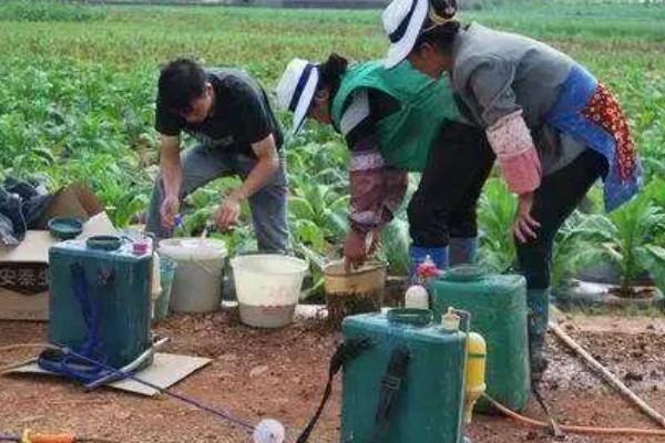 除草剂可以与农药混打吗,可以但要遵循混用原则