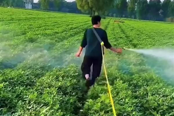 大豆常见虫害的防治方式,防治豆天蛾可喷施辛硫磷等药物