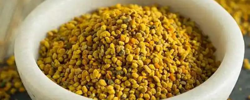 蜂花粉的由来，工蜂采集花粉带回蜂巢