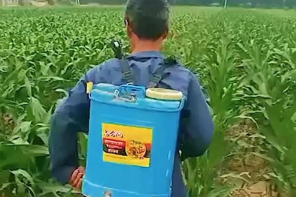 草地贪夜蛾如何防治，通常以预防为主