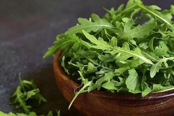 芝麻菜怎么选种,选择花叶芝麻菜较为适宜
