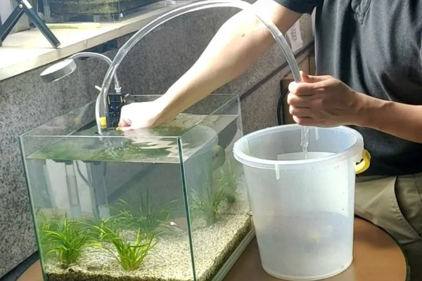 鱼缸的水浑浊怎么办，首先要做的就是换水