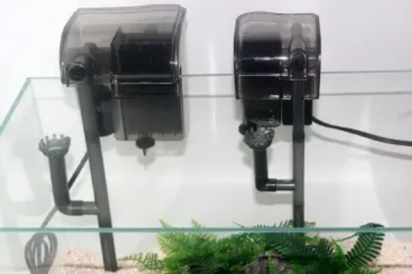 鱼缸的水浑浊怎么办，首先要做的就是换水