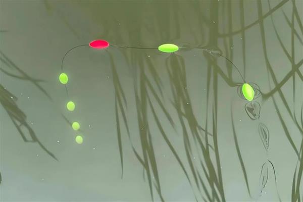 七星漂的调漂方法，第一步是重铅找底