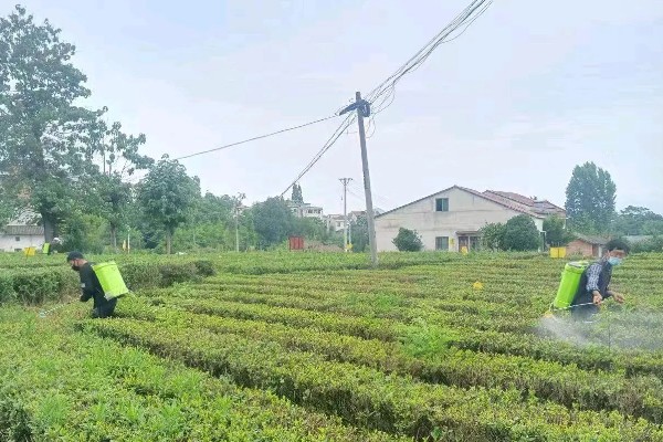 苏云金杆菌的作用,能起到增效的作用