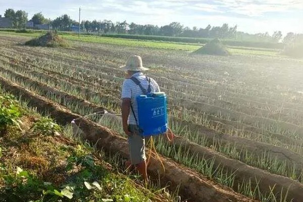 有哪些蔬菜常用的除草剂，包括乙草胺、施田补等药物