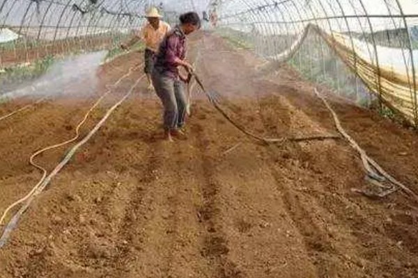 有哪些蔬菜常用的除草剂，包括乙草胺、施田补等药物
