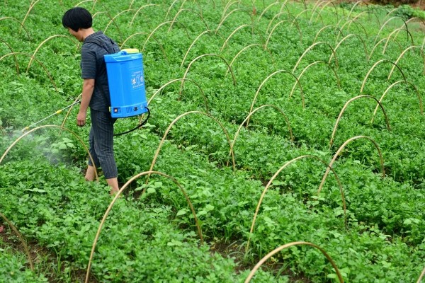 有哪些蔬菜常用的除草剂，包括乙草胺、施田补等药物